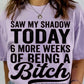 Saw My Shadow Today 6 More Weeks Of Being A Bitch Tee
